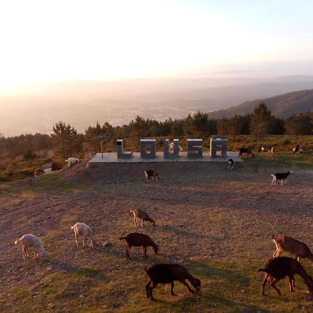 Casa Do Pastor Βίλα Lousã Εξωτερικό φωτογραφία